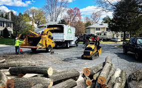 Best Tree Risk Assessment  in Trappe, MD