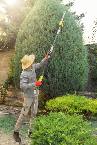 Best Tree Preservation Services  in Trappe, MD
